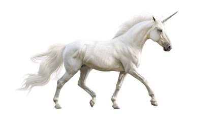 White unicorn horse on transparent background