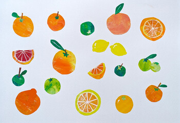 カラフルなオレンジ, レモン, ゆず, ライム, グレープフルーツ, 柑橘系果物の手描き, 水彩, イラスト, 