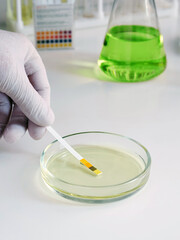 A scientist in a chemical laboratory takes measurements of the acid-base balance of a liquid in a Petri dish.