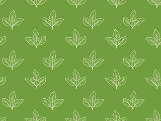 Hand drawn floral pattern vector design. Simple ornament with plant and leaf.