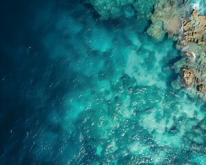 Fototapeta premium Aerial Drone Footage of Barrier Reef Ecosystem from Above with Ocean and Marine Life