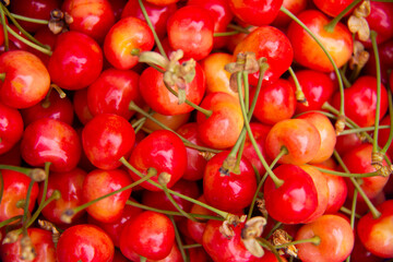Cherries background pattern