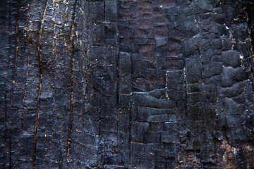 burnt wood texture background