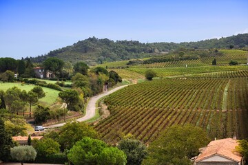 Fototapety na wymiar - Fototapeta24.pl