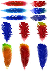 Colorful parrot type fluffy feathers textures with transparency without background to be used in party, celebration and other happy and fun illustrations and decorations. 3d render.  