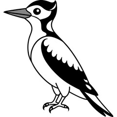 Beautiful bird Woodpecker line art vector svg