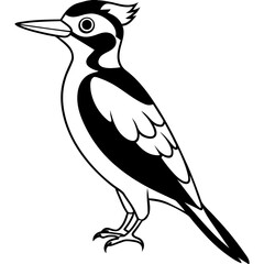 Beautiful bird Woodpecker line art vector svg