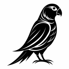 Parakeet bird silhouette black different style vector illustration line art