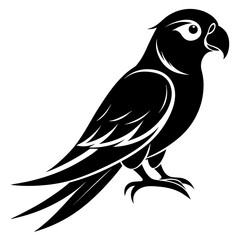 Parakeet bird silhouette black different style vector illustration line art