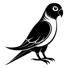 Parakeet bird silhouette black different style vector illustration line art