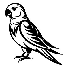 Parakeet bird silhouette black different style vector illustration line art