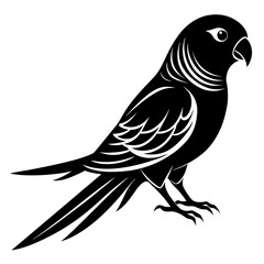 Parakeet bird silhouette black different style vector illustration line art