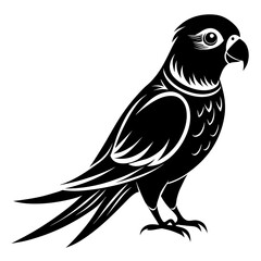 Parakeet bird silhouette black different style vector illustration line art