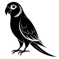 Parakeet bird silhouette black different style vector illustration line art