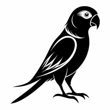 recommend clip art: Parakeet bird silhouette black different style vector illustration line art