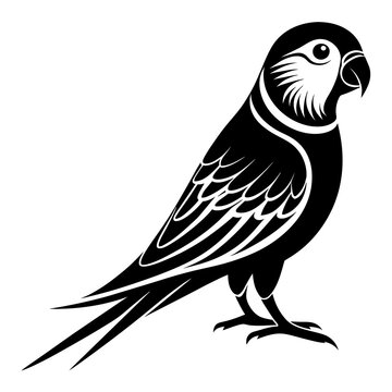 Parakeet bird silhouette black different style vector illustration line art