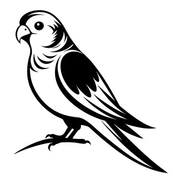 recommend clip art: Parakeet bird silhouette black different style vector illustration line art