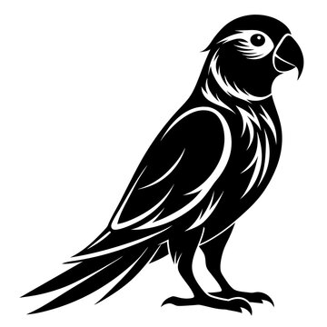 recommend clip art: Parakeet bird silhouette black different style vector illustration line art
