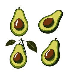set of avocado vector illustration