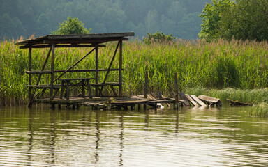 Drewniany zawalony pomost na Mazurach wśród trzcin na jeziorze © Joanna Tauriel
