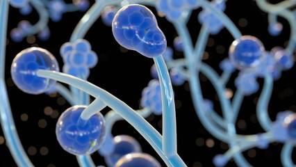 3d rendering of Candida albicans, it is an opportunistic pathogenic yeast that is a common member of the human gut flora © Love Employee