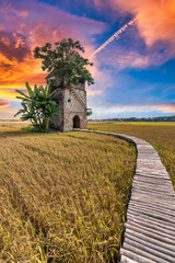An abandoned old brick kiln in the middle of a vast field in Quang Nam, Vietnam