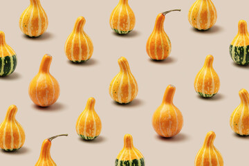 Minimal pattern of Decorative pumpkins on beige. Stylish aesthetic photo, autumn season natural plants, Halloween and Thanksgiving trend holiday background. Many gourds or squashes, composition