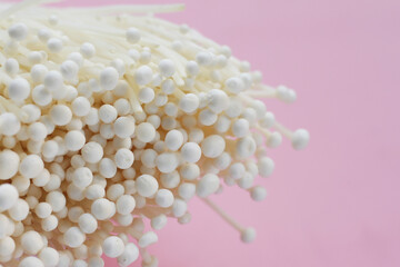 Fresh Enoki mushrooms on pink background