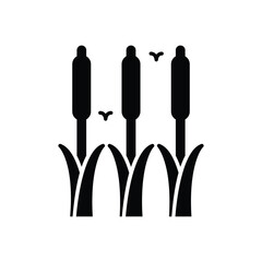 Reeds vector icon