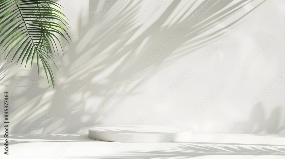 Wall mural blank minimal white counter podium, soft beautiful dappled sunlight, tropical palm foliage leaf shad - Wall murals