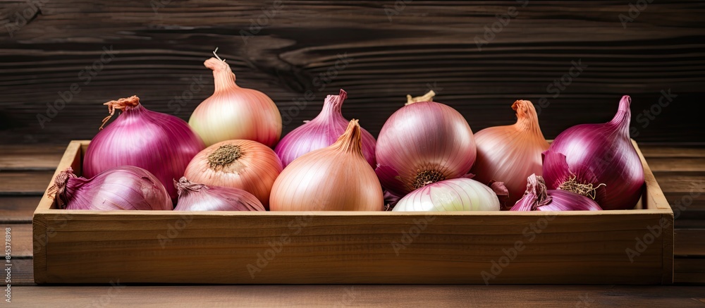 Wall mural organic onions in the tray. creative banner. copyspace image - Wall murals