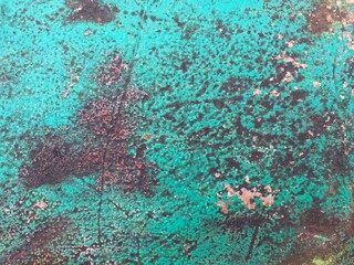 Close up picture of green and brown textured surface. Perfect for nature themed designs, environmental concepts, or serene wallpaper backgrounds.