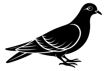 pigeon bird silhouette vector illustration