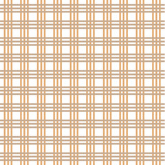 Luxury Geometric Ornamental Pattern Texture Background Vector