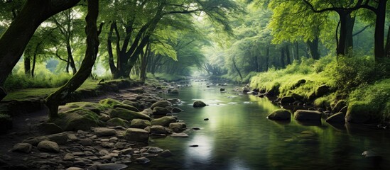 Obraz premium Calm river in a green park. Creative banner. Copyspace image