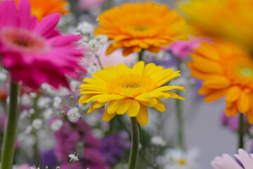 Beautiful flower bouquet, Flower background.