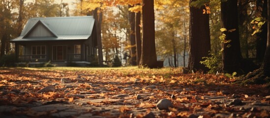 fallen old leaves fell in front of the house. Creative banner. Copyspace image