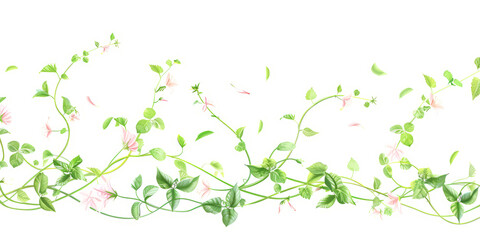 collection of plant based magical effects, instant flowers blooming and fast growing vines on a white background.
