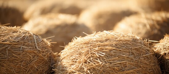 Texture of haystacks from round bales on a sunny day Close up. Creative banner. Copyspace image