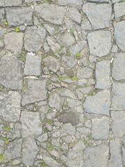 Abstract portrait of stone path textured background. Perfect for nature themed projects.