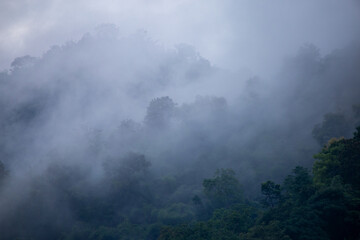 The background texture of mountains in the rainy season and the icy rain fog feels cool and refreshing with the green color of the forest that is cool and pleasing to the eye.