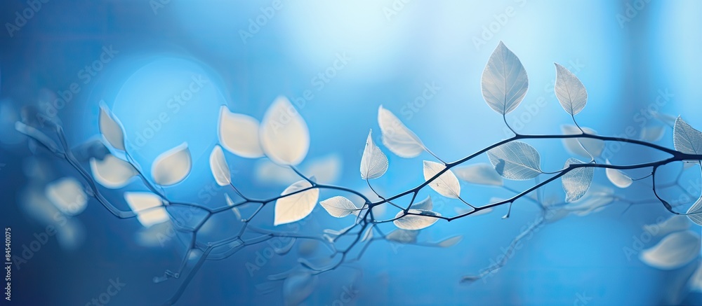 Aufkleber Blue bokeh on defocus in the nature for art abstract blurred background or texture. Creative banner. Copyspace image