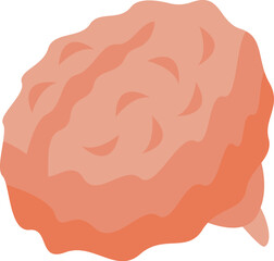 Detailed illustration of a human brain, highlighting its intricate structure and symbolizing cognitive functions