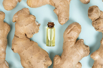 Natural ginger oil in glass bottle among ginger root top view.