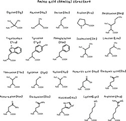 Set of amino acid structure equations such as Histidine, Isoleucine, Leucine, Lysine, Methionine, Phenylalanine, Threonine, Tryptophan, Valine, Alanine, Asparagine, Aspartic Acid, Cysteine, Glutamic