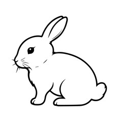 white rabbit on a white background