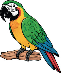 Colorful Parrot vector art illustration