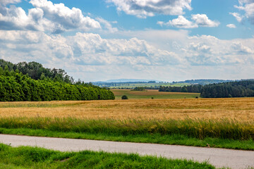 Obraz premium Agricultural fields on a summer day.