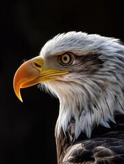 Obraz premium eagle portrait coming out the shadows. generative AI