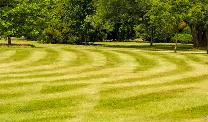 Świeżo skoszony trawnik w parku miejskim wiosną. Regularne wzory tworzone przez koszenie rozległego trawnika w parku w maju.